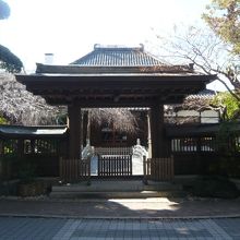 本堂と参道の間の公道から、本堂を見ています。近くに感じます。