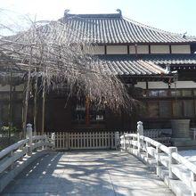 玉蔵院の本堂です。本堂の前に、太鼓橋が設けられています。