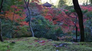 ここの紅葉も見応えあります