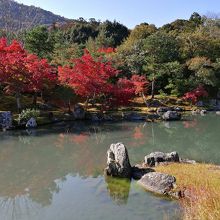 池から