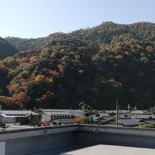 屋上から見える風景