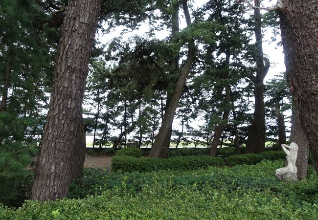 松原公園 静岡県伊豆市 クチコミ アクセス 営業時間 土肥温泉 フォートラベル 松原公園 静岡県伊豆市 クチコミ アクセス 営業時間 土肥温泉 フォートラベル