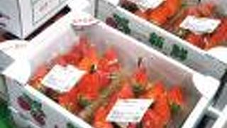 フレッシュなもぎたていちご