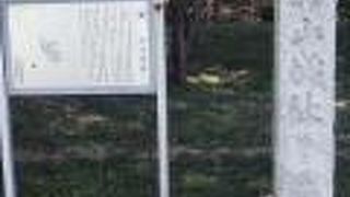 武蔵嵐山の杉山城