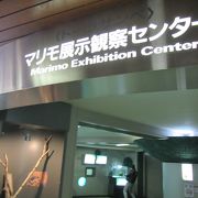 マリモ展示観察センター クチコミ アクセス 営業時間 阿寒 フォートラベル マリモ展示観察センター クチコミ アクセス 営業時間 阿寒 フォートラベル