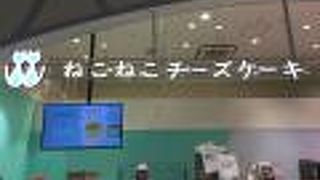 ネコの形をしたチーズケーキ♪とっても可愛い☆