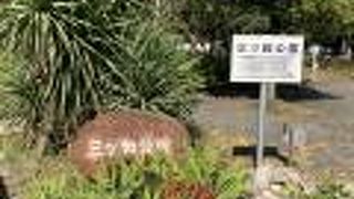 ウォーキングコース有