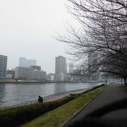 隅田川沿い