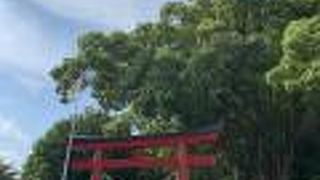 巨木がたくさんのパワースポット