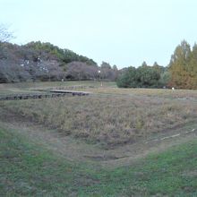 菖蒲園です。芝川の水流を活用した珍しい植物園です。