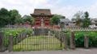 徳川家ゆかりの八幡宮