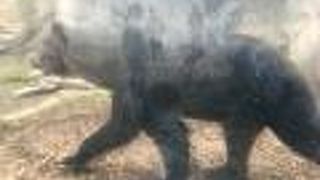 迫力がすごい。