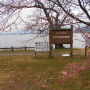 荒涼とした琵琶湖の景色もまたいいものです。