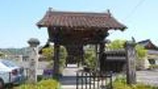 南総里見八犬伝ゆかりの寺院