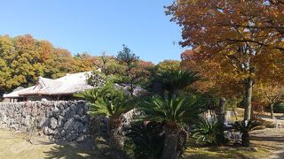 南国のゆったりした雰囲気を味わう