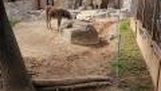 盛りだくさんです！