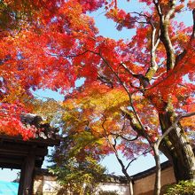 山門と紅葉。