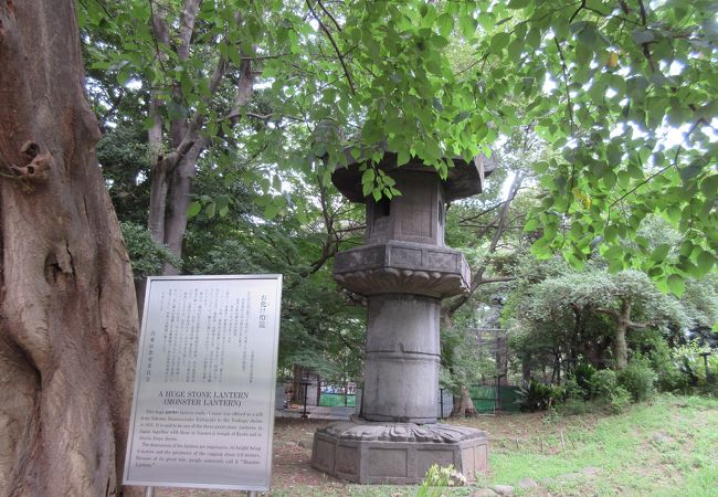 お化け灯籠 クチコミ アクセス 営業時間 上野 御徒町 フォートラベル お化け灯籠 クチコミ アクセス 営業時間 上野 御徒町 フォートラベル