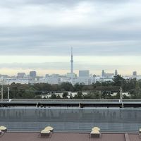 ホテルからは東京スカイツリーも見える