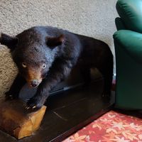 玄関には鹿・クマもいますよ