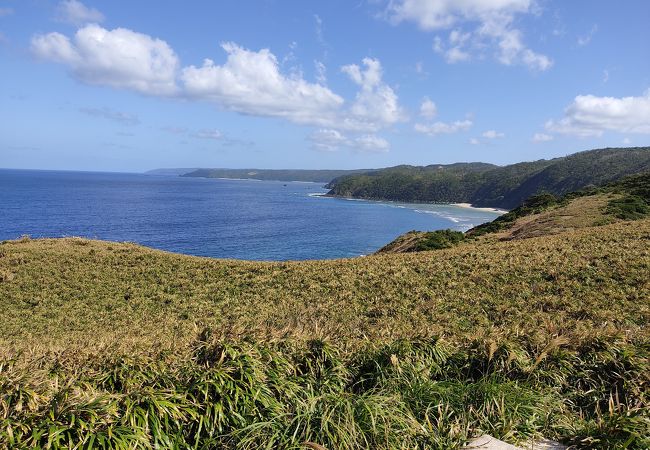 宮古崎 クチコミ アクセス 営業時間 奄美大島 フォートラベル