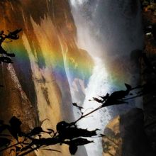 滝に虹がかかってました！