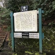 福井市内のひょっこりとした山