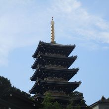 珍しい青色です