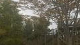 宮城県県民の森児童遊園施設(フィールドアスレチック)