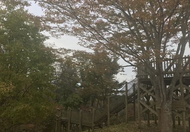 宮城県県民の森児童遊園施設 フィールドアスレチック クチコミ アクセス 営業時間 多賀城 塩釜 利府 フォートラベル 宮城県県民の森児童遊園施設 フィールドアスレチック クチコミ アクセス 営業時間 多賀城 塩釜 利府 フォートラベル