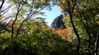 遊歩道からだと部分的な景色しか見えない