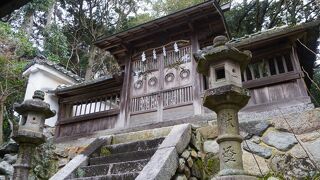 奥の本殿の扉が神々しくてちょっとびっくり