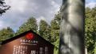 重要文化財の鳥居