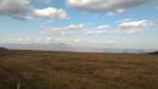 駐車場からの眺めが良いです。