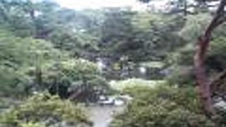 高台から池を見渡せるスポットが撮影にオススメ