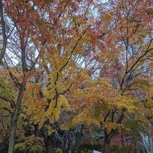 本館北側に散策路が設けられいます。