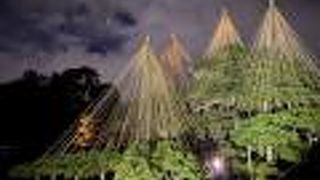 紅葉がとても綺麗…無料なので是非