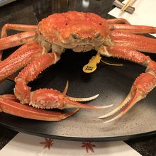 三国温泉 料理民宿 いそや 写真 画像 フォートラベル 東尋坊 越前松島 三国 三国温泉 料理民宿 いそや 写真 画像 フォートラベル 東尋坊 越前松島 三国