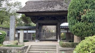 落ち着いたお寺