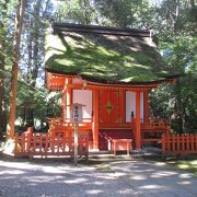 屋根が緑色の苔で覆われています。