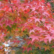 山間の紅葉の名所