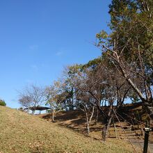 竜光寺公園