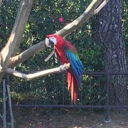 南国の動物園