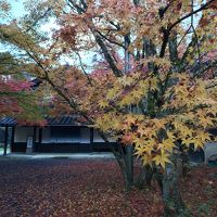 湯宿 さか本 写真