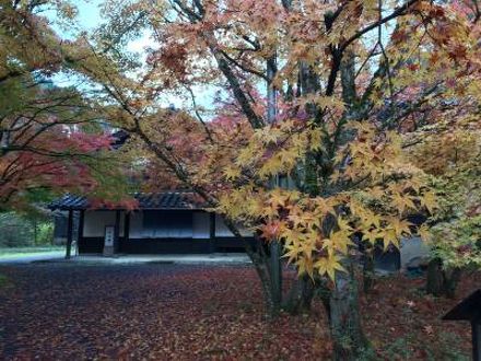 湯宿 さか本 写真