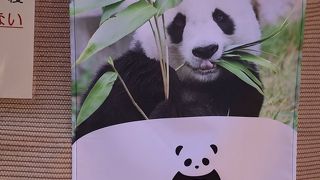 神戸には20年間パンダがいました…まもなくさよならタンタン