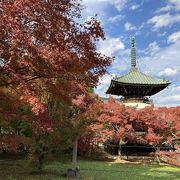 数少ない無料で楽しめる寺