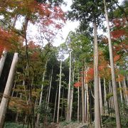 静寂と自然にたたずむ世界遺産の寺院