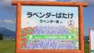 ファーム富田への最寄り駅