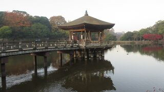 早朝、写真撮影のスポットになっていました